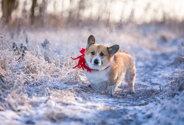 Similar image 21277765