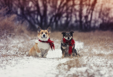 Similar image 21277766