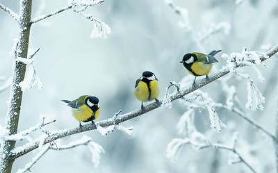 Similar image 21277769