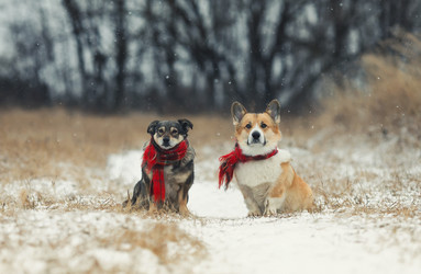 Similar image 21277772