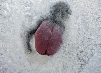 Similar image 21279402