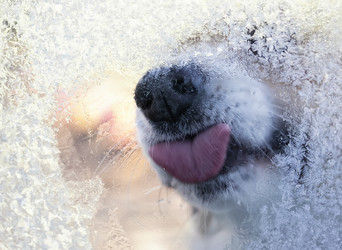 Similar image 21279403