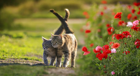 Similar image 21279404