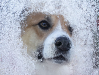 Similar image 21279405