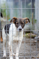 Similar image 21291873