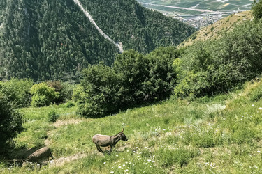 Similar image 21274132