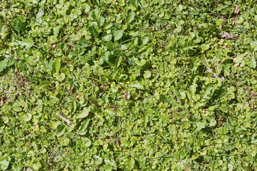 Similar image 21274133