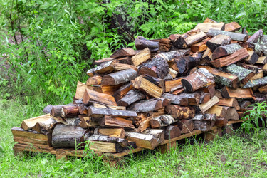 Similar image 21274136