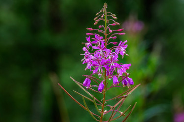 Similar image 21274142