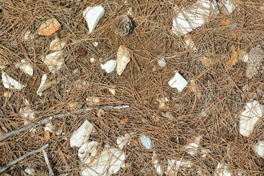 Similar image 21274150