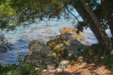 Similar image 21274154