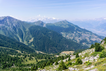 Similar image 21274155