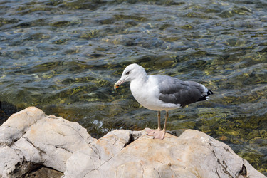 Similar image 21274160