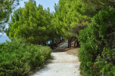 Similar image 21274174