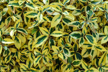 Similar image 21274184