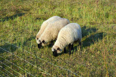 Similar image 21274198