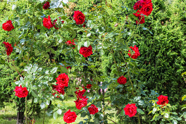 Similar image 21274201