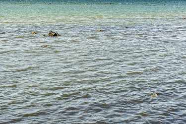 Similar image 21274205