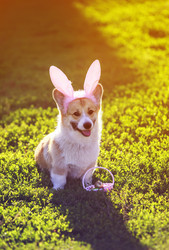 Similar image 21277778