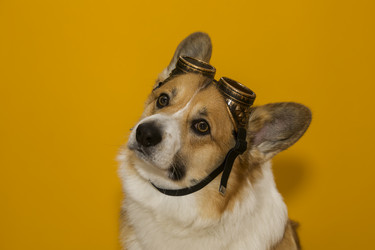 Similar image 21277779