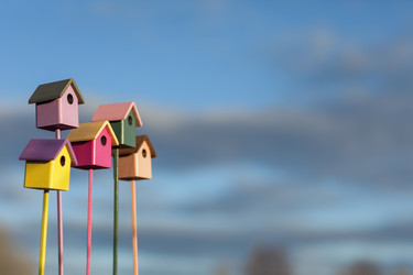 Similar image 21277780