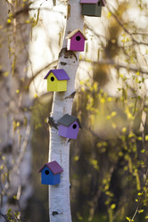 Similar image 21277782