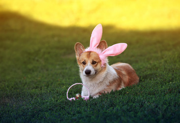 Similar image 21277784