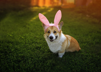 Similar image 21277789