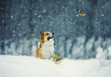 Similar image 21277790