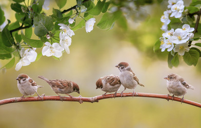 Similar image 21277791