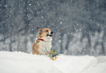 Similar image 21277792