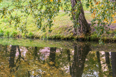 Similar image 21274211