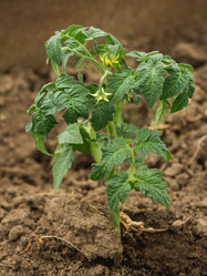 Similar image 21261452