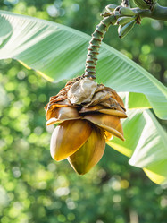 Similar image 21261463