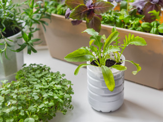 Similar image 21261351