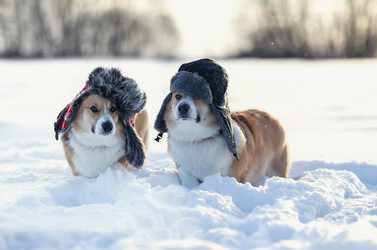 Similar image 21277795