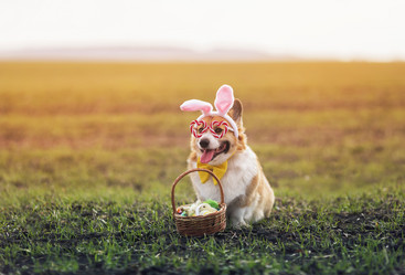 Similar image 21277796