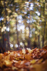 Similar image 21277798