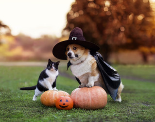 Similar image 21261129