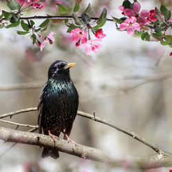 Similar image 21261130