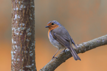 Similar image 21261131