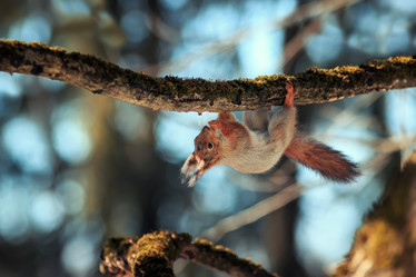 Similar image 21277800