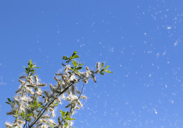 Similar image 21277801