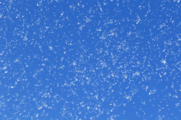 Similar image 21261133