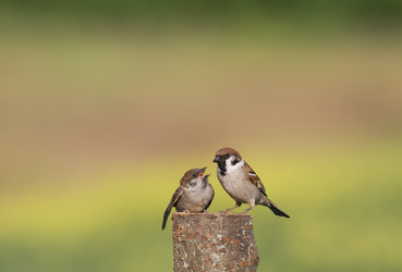 Similar image 21261134