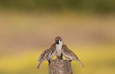 Similar image 21277802