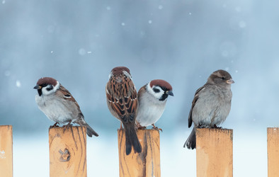 Similar image 21261135