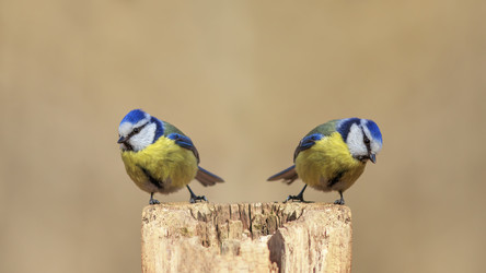 Similar image 21261137