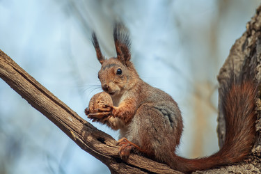 Similar image 21261138