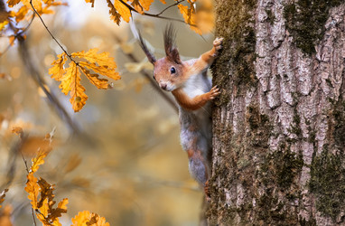 Similar image 21261139